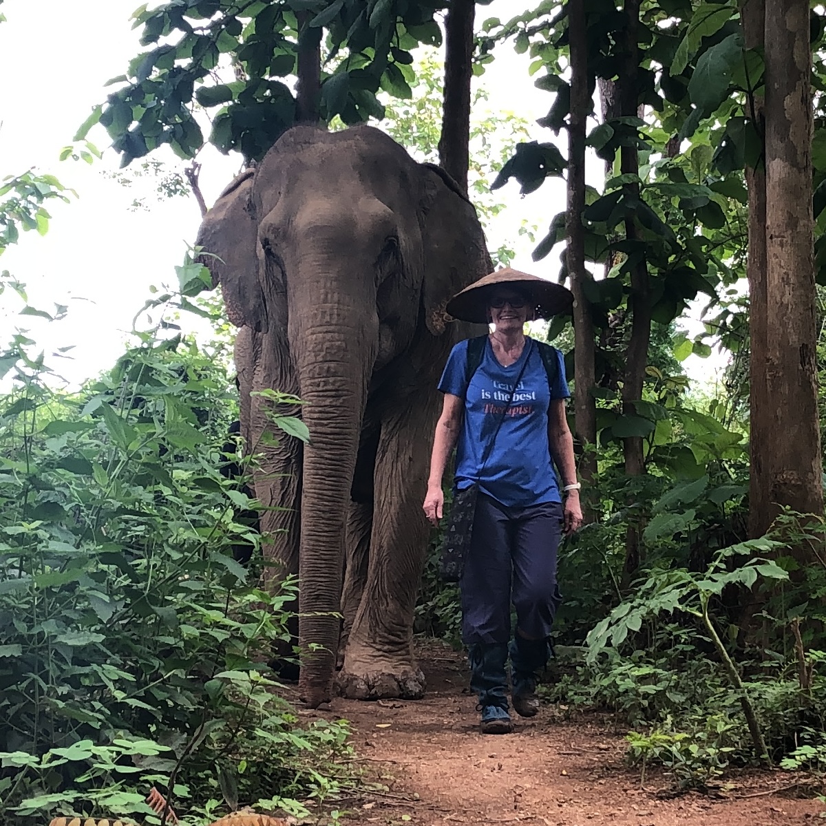 Walking with elephants through the jungles of Laos